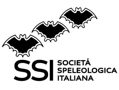 SSI